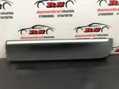 Rear door trim (molding)