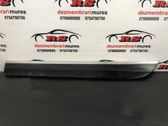Rear door trim (molding)