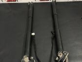 Tailgate/trunk strut/damper
