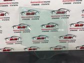Rear door window glass