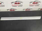 Rear door trim (molding)