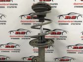 Front shock absorber with coil spring