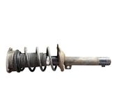 Front shock absorber with coil spring