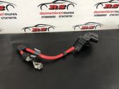 Negative earth cable (battery)