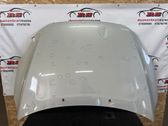 Engine bonnet/hood
