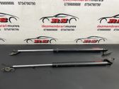 Front bonnet/hood damper/strut