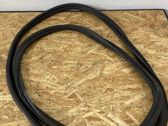Rear door rubber seal (on body)