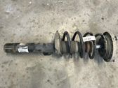 Front shock absorber with coil spring