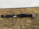 Rear shock absorber/damper