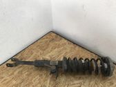 Front shock absorber with coil spring