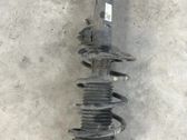 Front shock absorber with coil spring