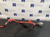 Positive wiring loom