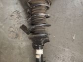 Front shock absorber with coil spring