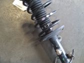 Front shock absorber with coil spring