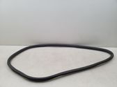 Rear door rubber seal (on body)