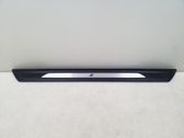 Front sill trim cover