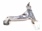 Front lower control arm/wishbone