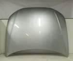 Engine bonnet/hood