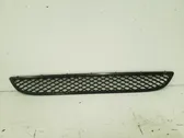 Front bumper lower grill