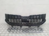 Atrapa chłodnicy / Grill