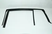 Rear door glass trim molding