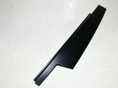 Front door trim (molding)