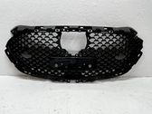 Atrapa chłodnicy / Grill