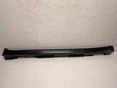 Sill/side skirt trim