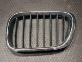 Front grill
