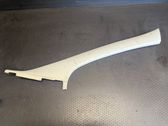 (A) pillar trim