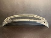 Wiper trim