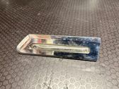 Front fender indicator light