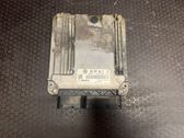 Engine control unit/module ECU