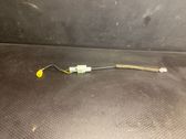 Seat belt adjustment motor