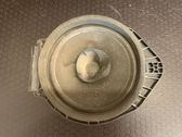 Rear door speaker