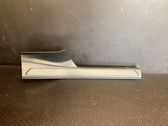 Rear sill trim cover