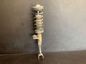 Front shock absorber with coil spring