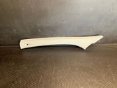 (A) pillar trim