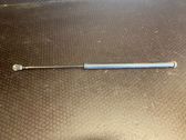 Tailgate/trunk strut/damper
