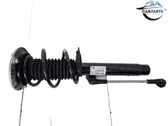 Front shock absorber with coil spring
