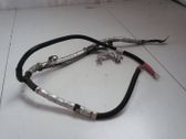Other wiring loom