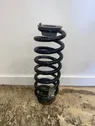 Rear coil spring