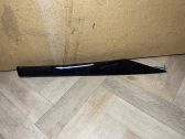 Rear door trim (molding)