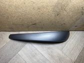 Other front door trim element