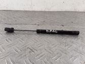 Tailgate/trunk strut/damper