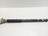 Stoßdämpfer hinten