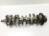 Vilebrequin du moteur