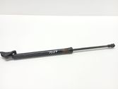 Tailgate/trunk strut/damper