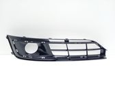 Front fog light trim/grill