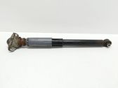 Stoßdämpfer hinten